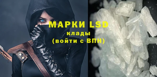 стаф Нефтегорск