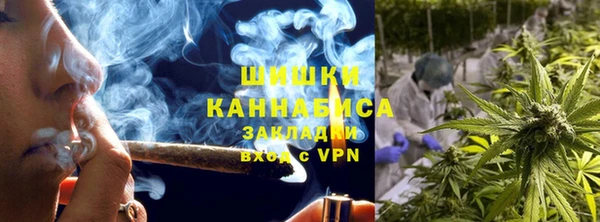 стаф Нефтегорск