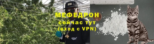 стаф Нефтегорск
