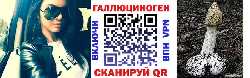 как найти закладки  Таруса  Галлюциногенные грибы Magic Shrooms 