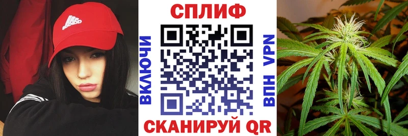 MEGA онион  Таруса  Марихуана конопля 
